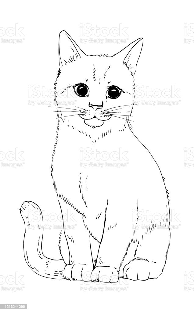 Detail Gambar Sketsa Kucing Hitam Putih Nomer 13