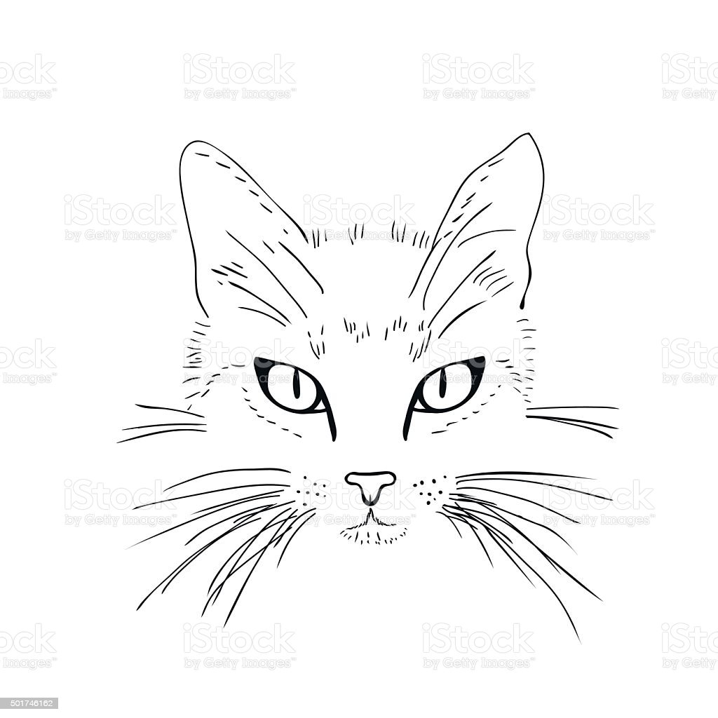 Detail Gambar Sketsa Kucing Hitam Putih Nomer 22