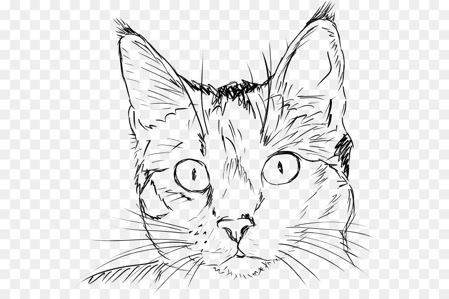 Detail Gambar Sketsa Kucing Hitam Putih Nomer 56