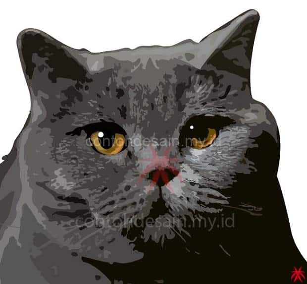 Detail Gambar Sketsa Kucing Lucu Nomer 38