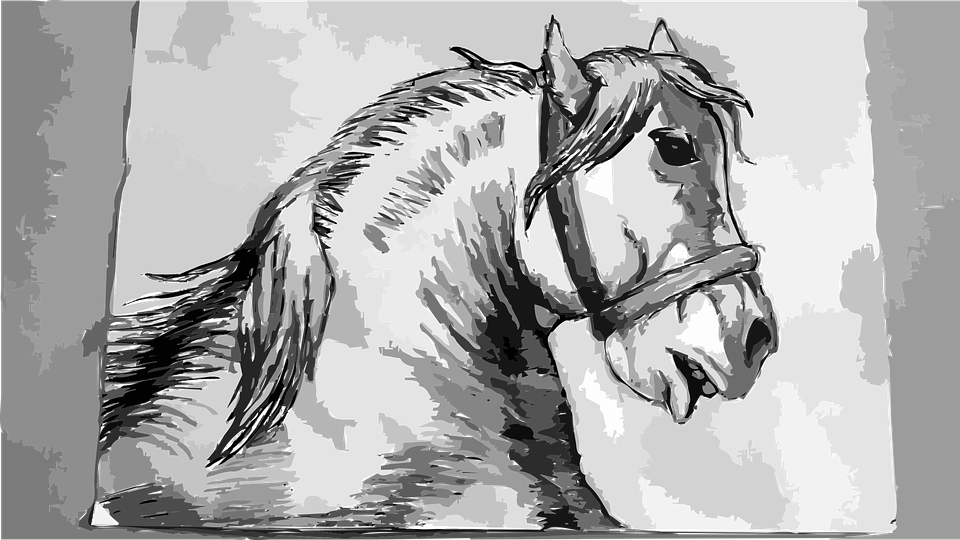 Detail Gambar Sketsa Kuda Nomer 33