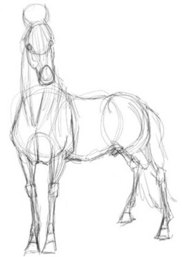 Detail Gambar Sketsa Kuda Nomer 35