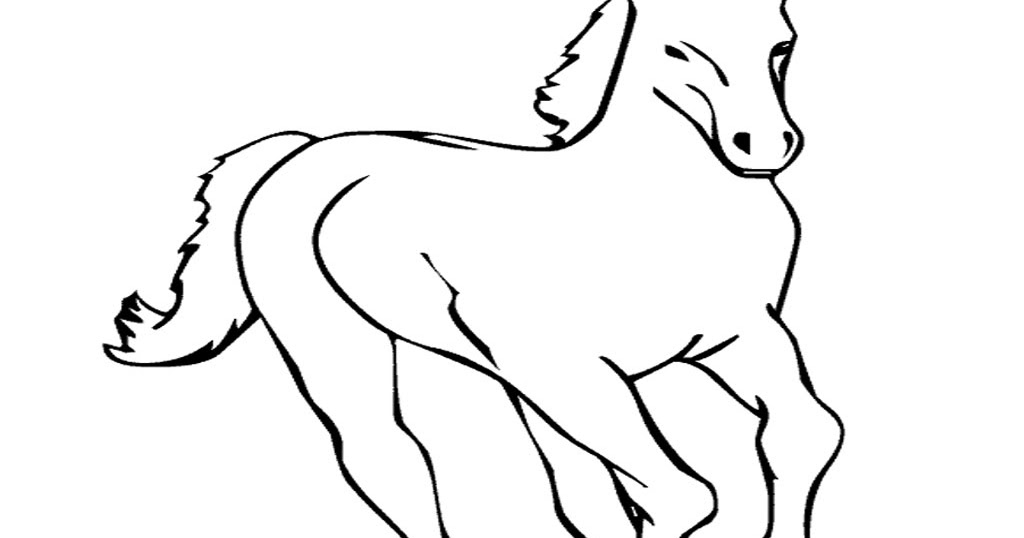 Detail Gambar Sketsa Kuda Poni Nomer 44