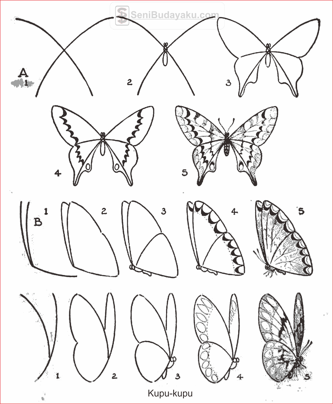Detail Gambar Sketsa Kupu 2 Simpel Nomer 36