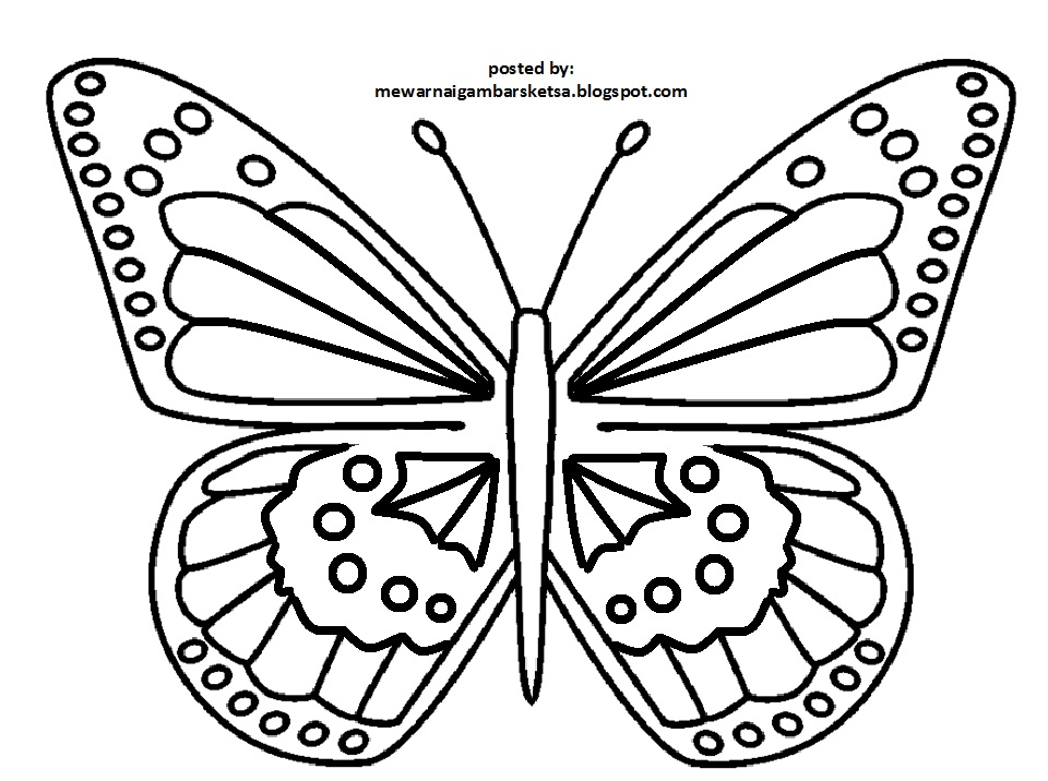 Detail Gambar Sketsa Kupu Nomer 57