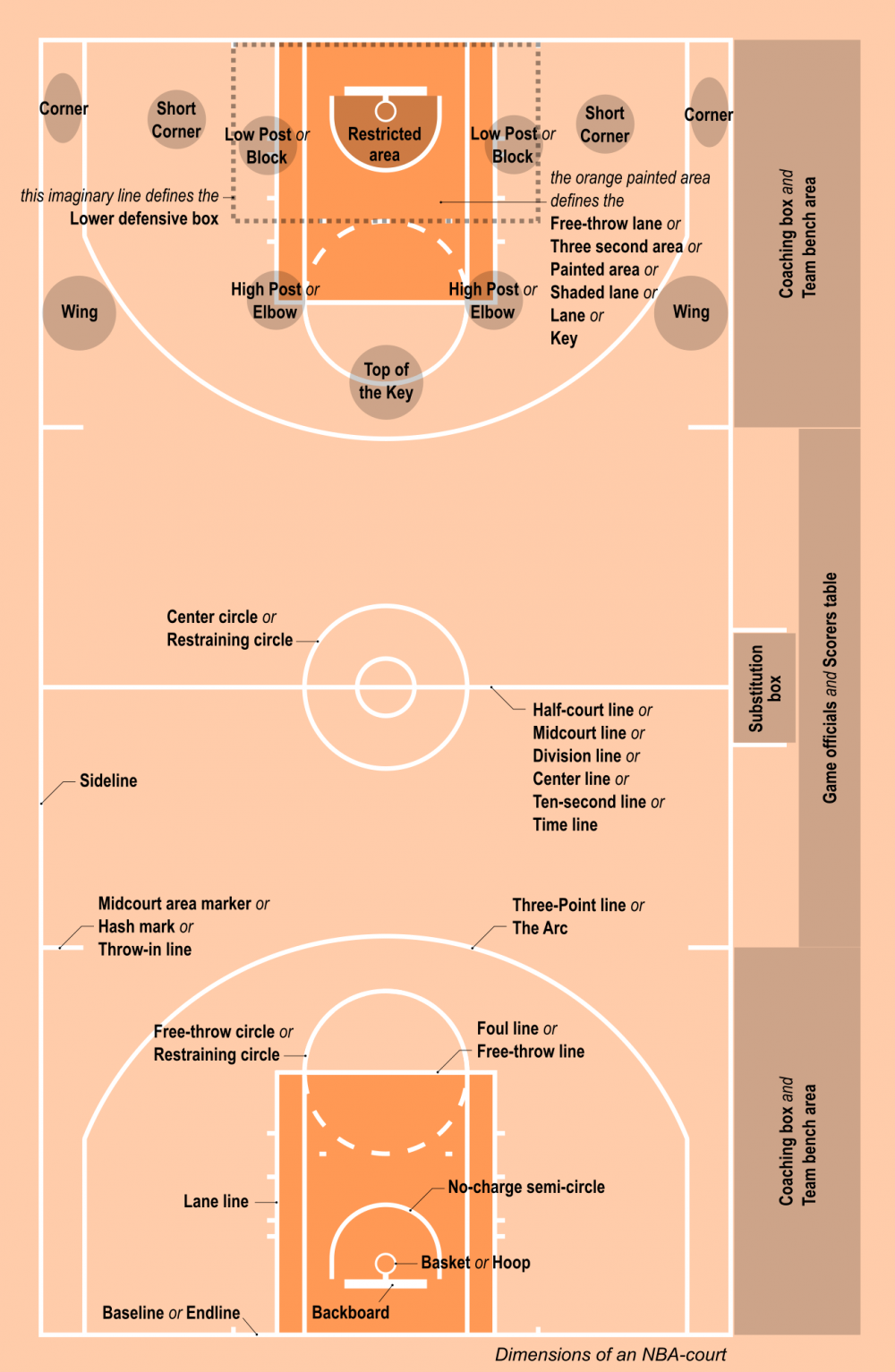 Detail Gambar Sketsa Lapangan Bola Basket Nomer 21