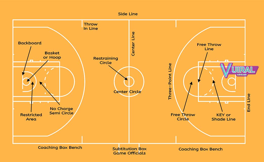 Detail Gambar Sketsa Lapangan Bola Basket Nomer 23