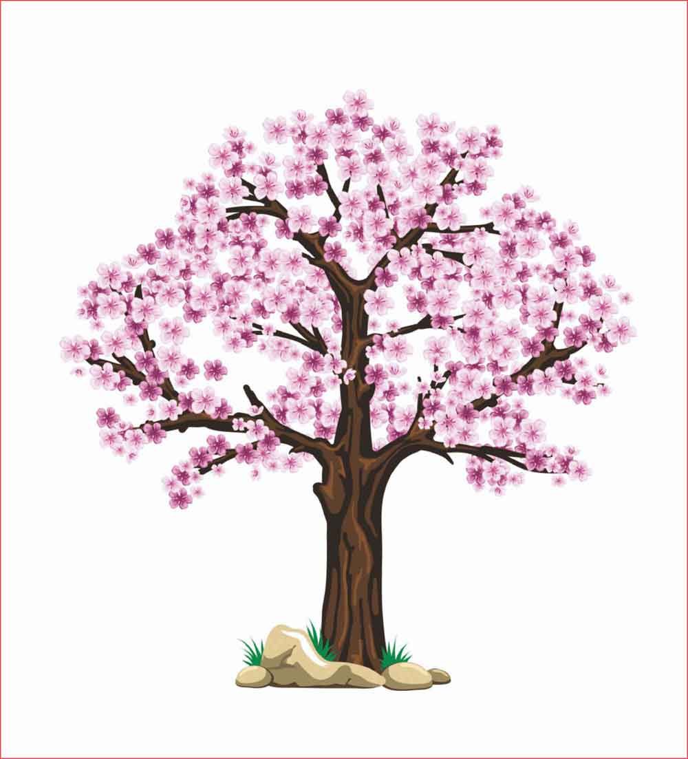 Detail Gambar Sketsa Lukisan Bunga Sakura Nomer 23