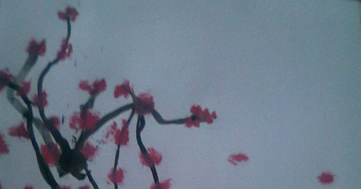 Detail Gambar Sketsa Lukisan Bunga Sakura Nomer 50