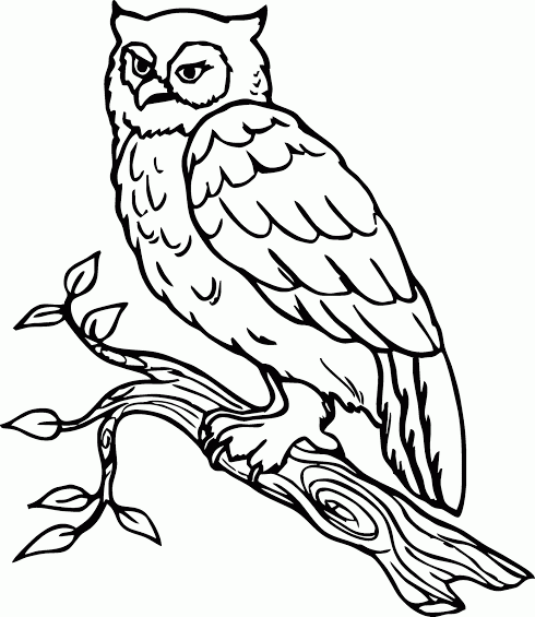 Detail Gambar Sketsa Lukisan Burung Nomer 19
