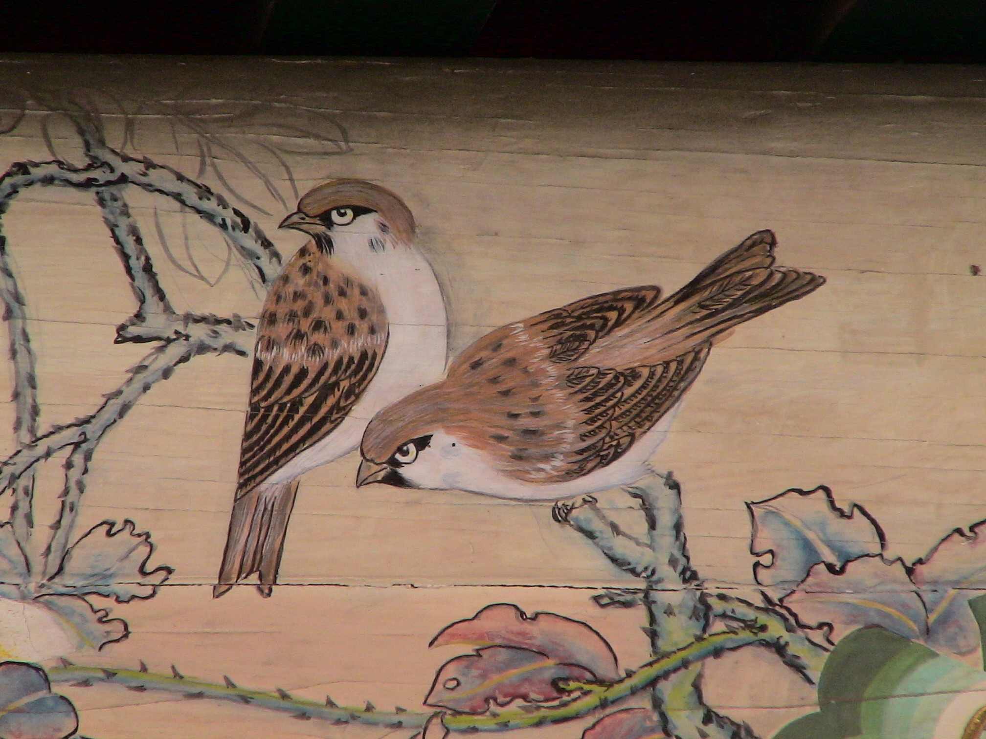 Detail Gambar Sketsa Lukisan Burung Nomer 44