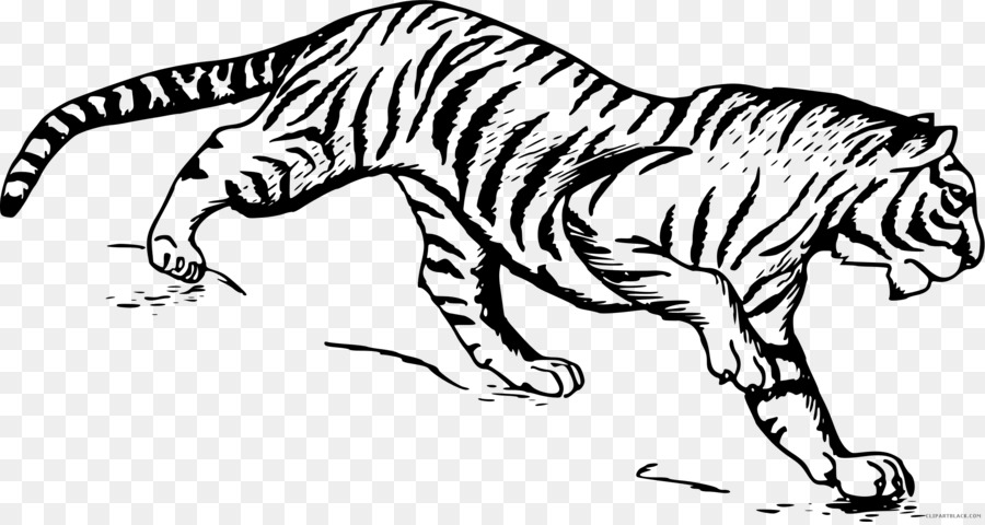Detail Gambar Sketsa Macan Nomer 13