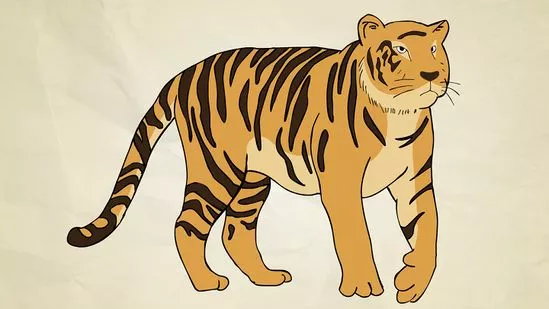 Detail Gambar Sketsa Macan Nomer 14