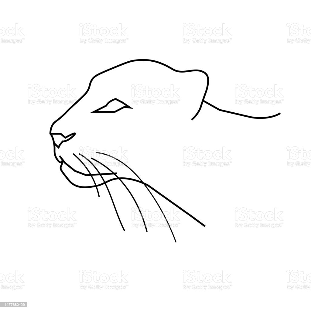 Detail Gambar Sketsa Macan Nomer 21