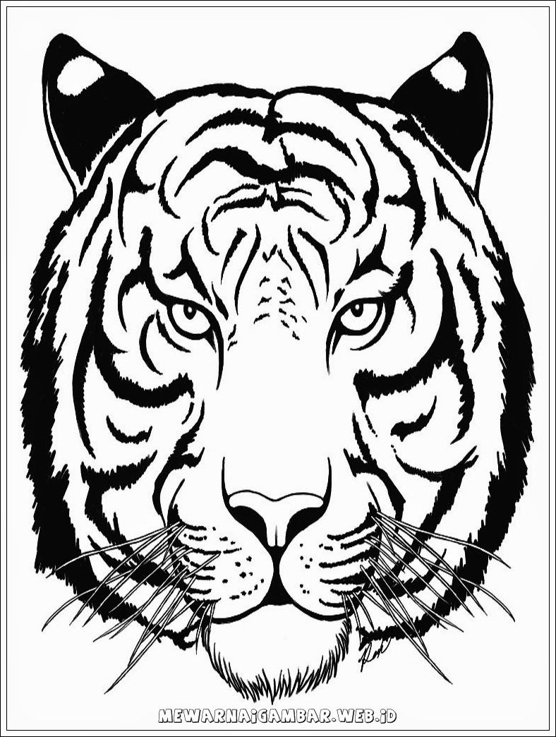 Detail Gambar Sketsa Macan Nomer 22