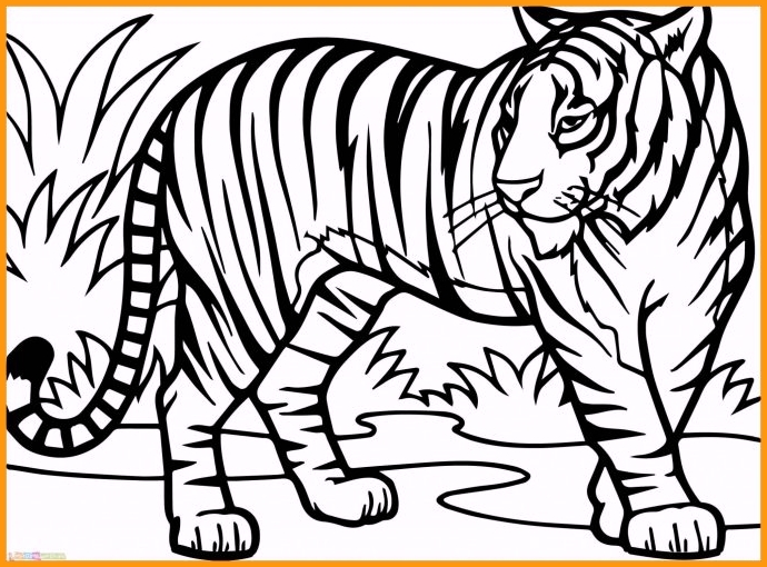 Detail Gambar Sketsa Macan Nomer 24