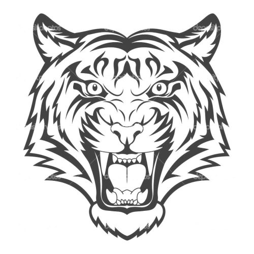 Detail Gambar Sketsa Macan Nomer 5