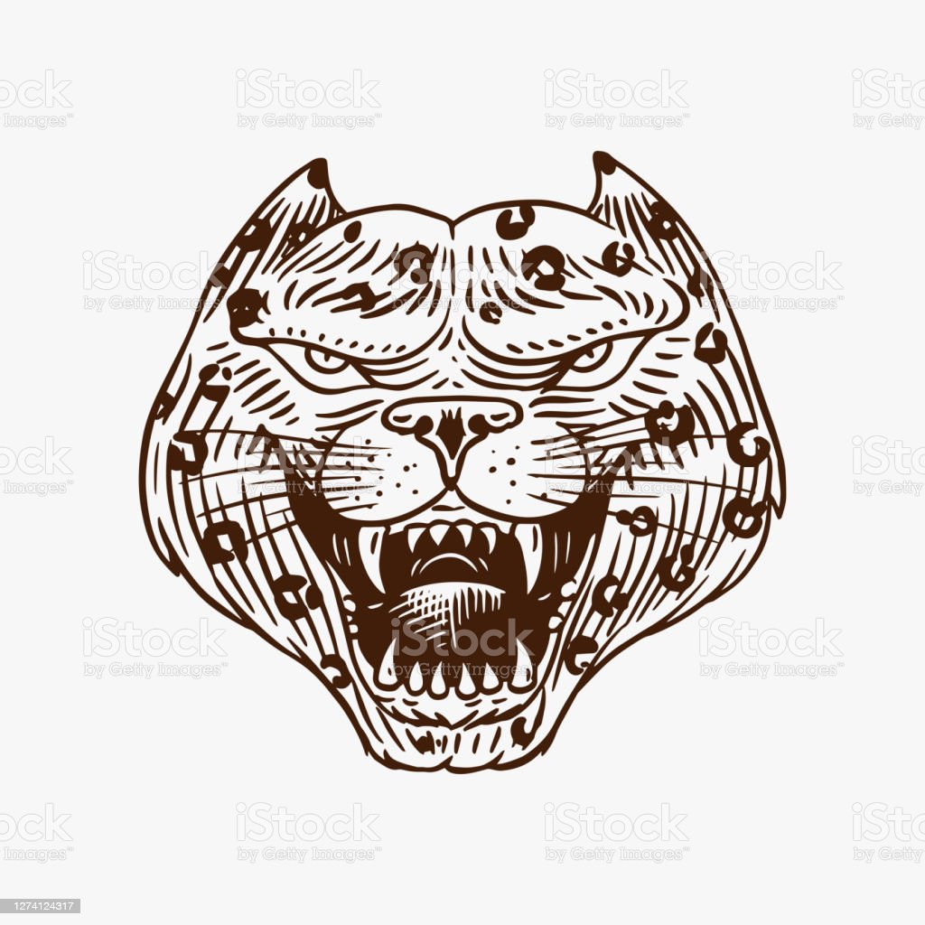 Detail Gambar Sketsa Macan Nomer 46