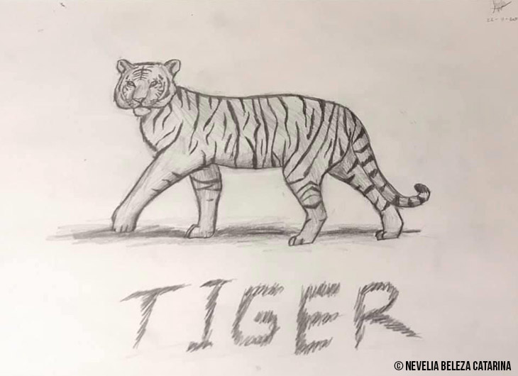 Detail Gambar Sketsa Macan Nomer 47