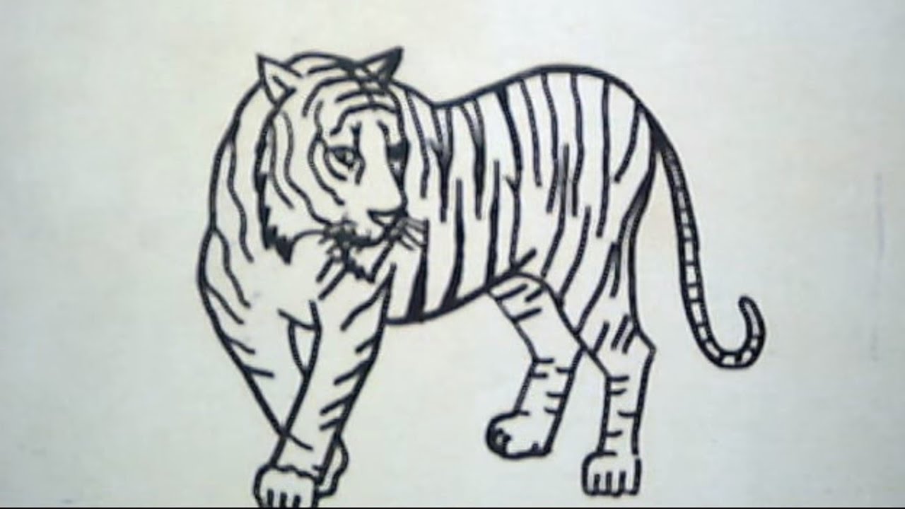 Detail Gambar Sketsa Macan Nomer 6