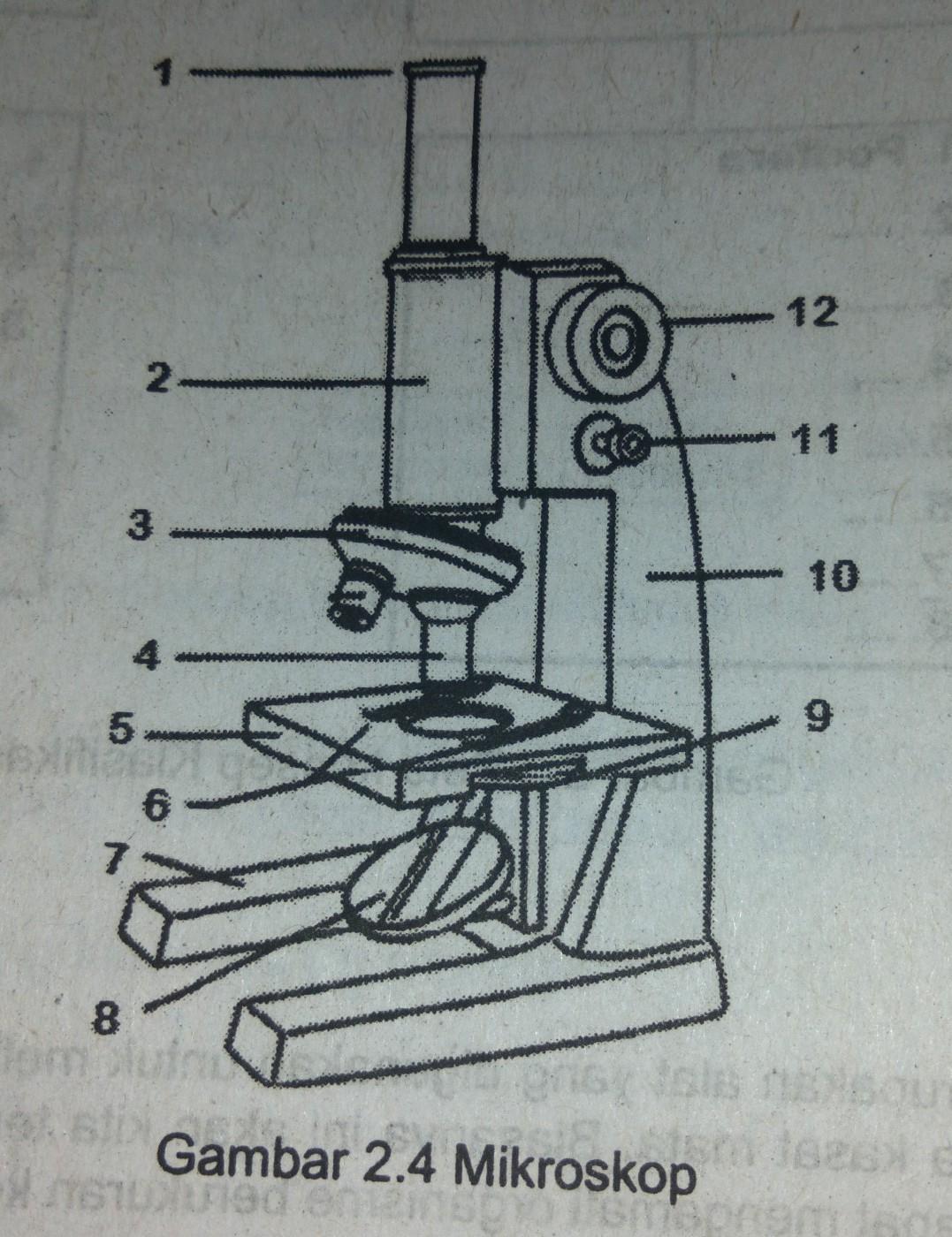 Detail Gambar Sketsa Mikroskop Nomer 19