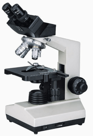 Detail Gambar Sketsa Mikroskop Nomer 42