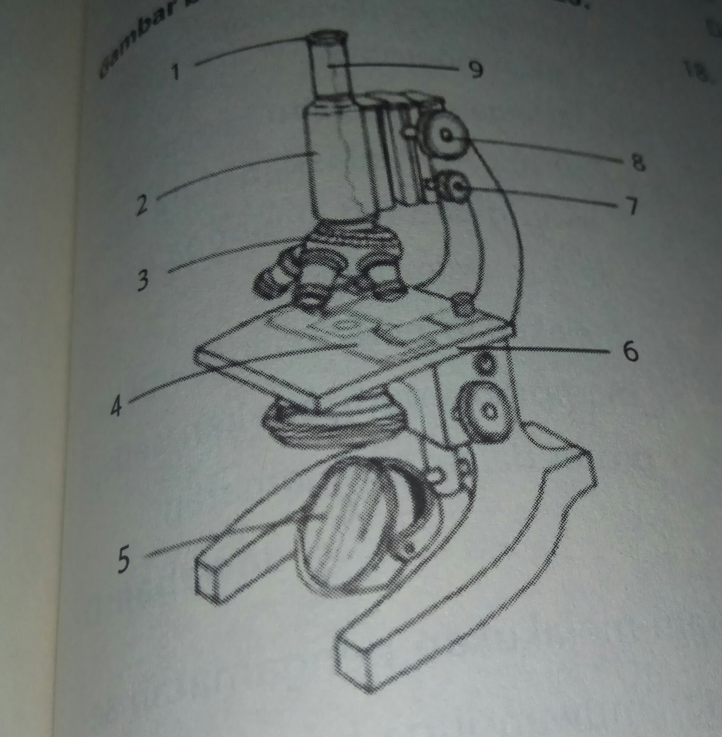 Detail Gambar Sketsa Mikroskop Nomer 43