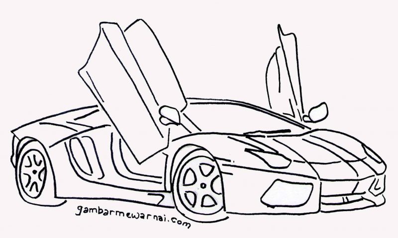 Detail Gambar Sketsa Mobil Lamborghini Nomer 20