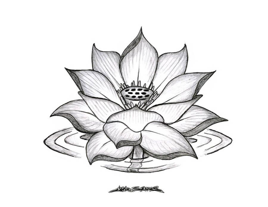 Detail Gambar Sketsa Motif Batik Bunga Sederhana Nomer 34