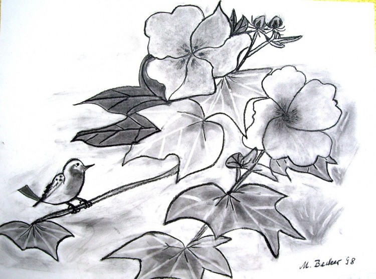 Detail Gambar Sketsa Nama Bunga Nomer 14