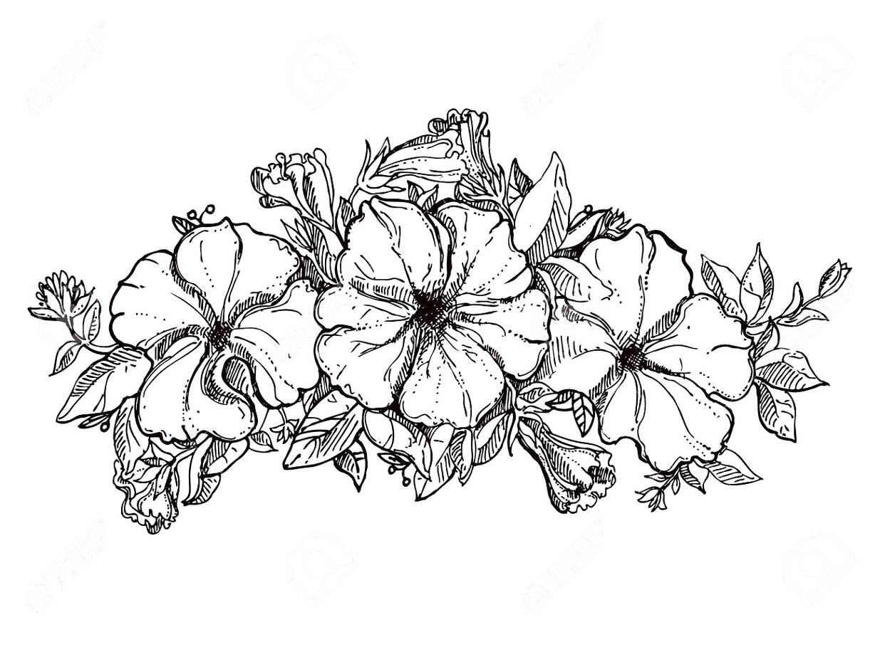Detail Gambar Sketsa Nama Bunga Nomer 44