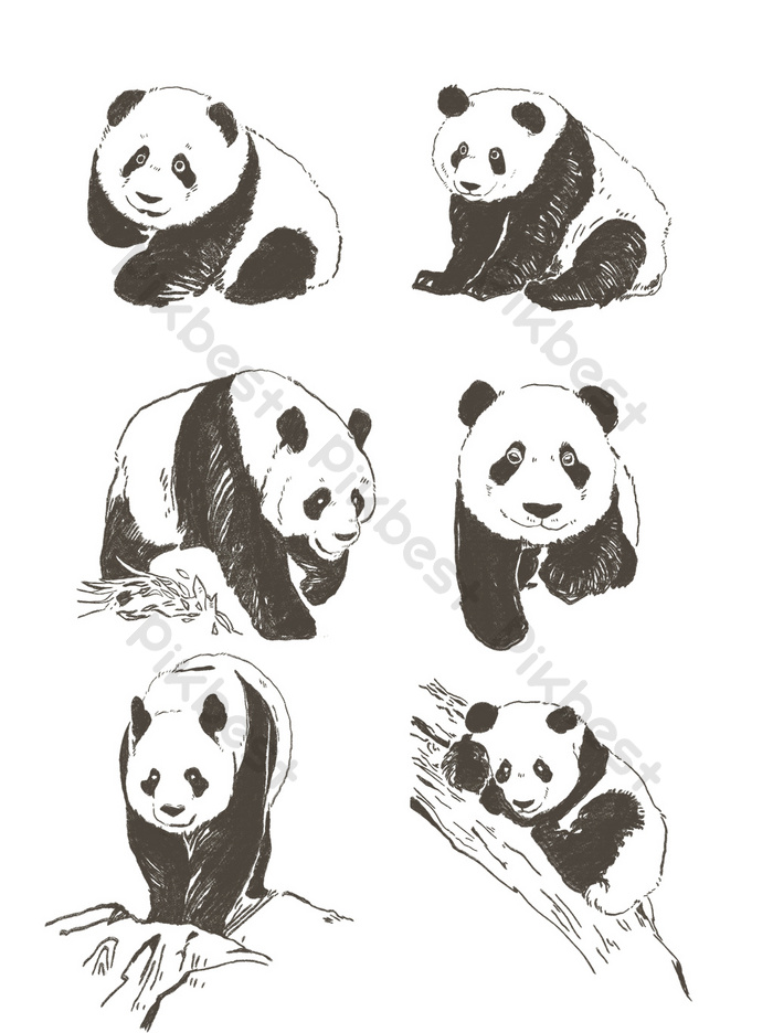 Detail Gambar Sketsa Panda Nomer 45