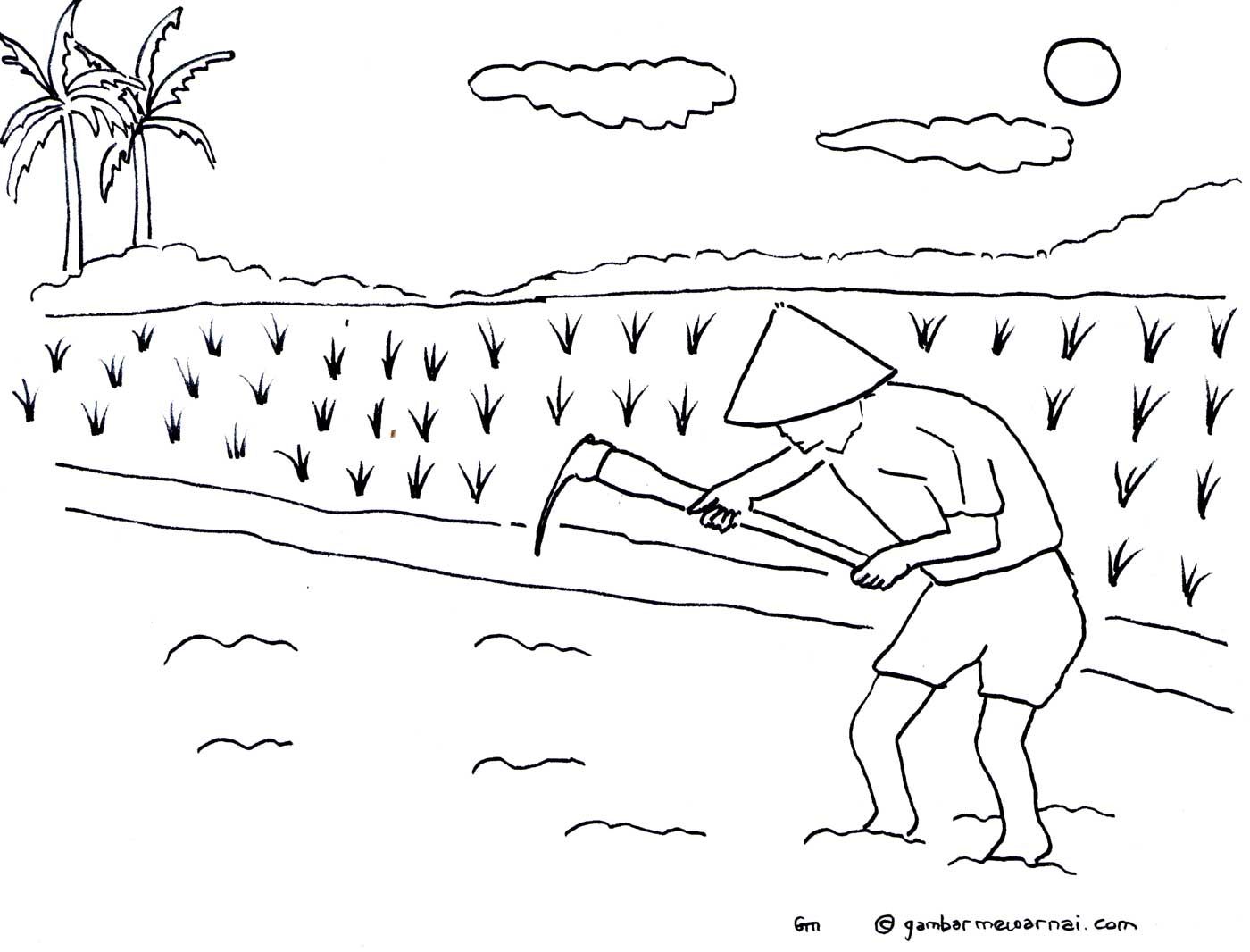 Gambar Sketsa Petani - KibrisPDR
