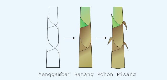 Detail Gambar Sketsa Pohon Pisang Nomer 40