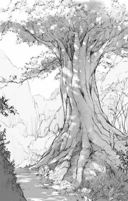 Detail Gambar Sketsa Pohon Yang Indah Nomer 11