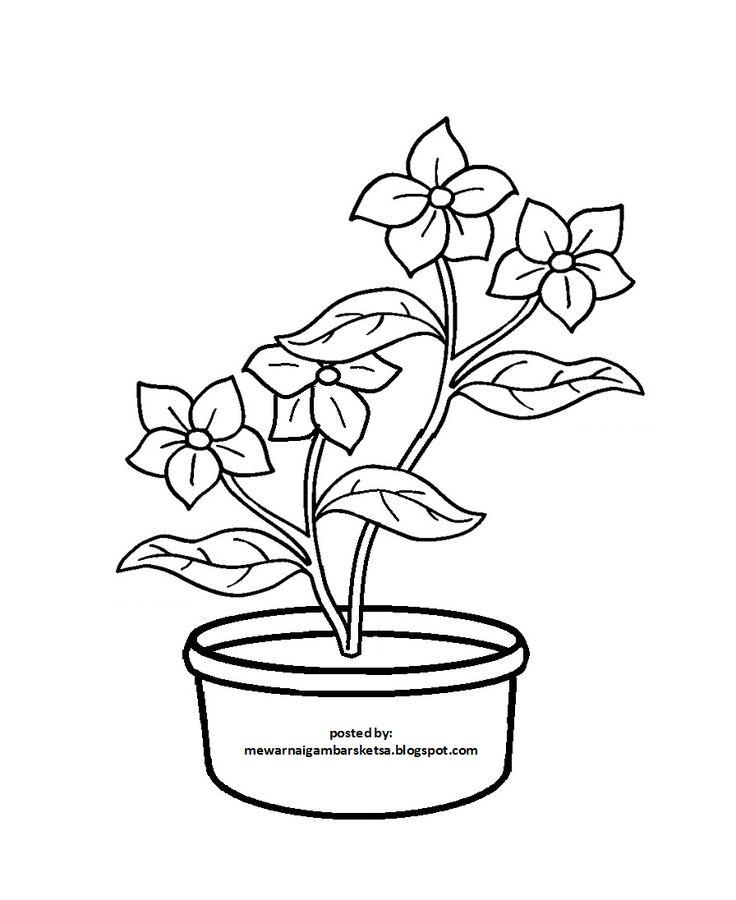 Detail Gambar Sketsa Pot Bunga Nomer 45