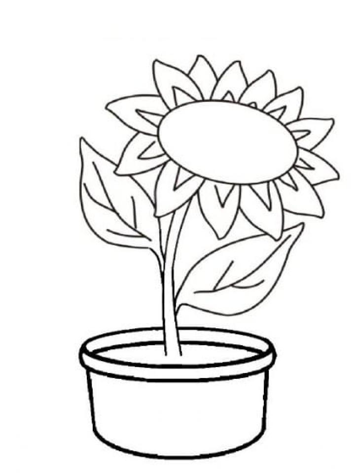 Detail Gambar Sketsa Pot Bunga Nomer 48