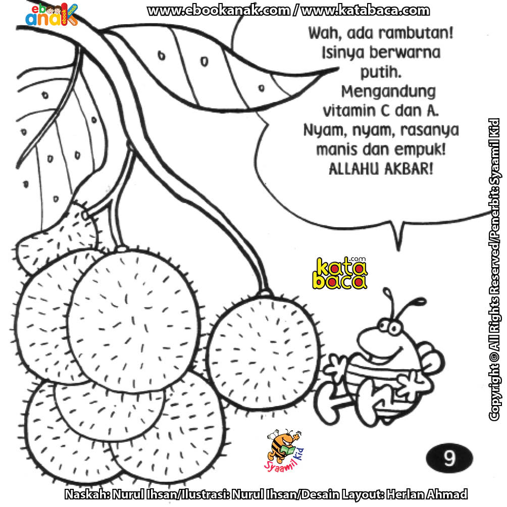 Detail Gambar Sketsa Rambutan Nomer 20