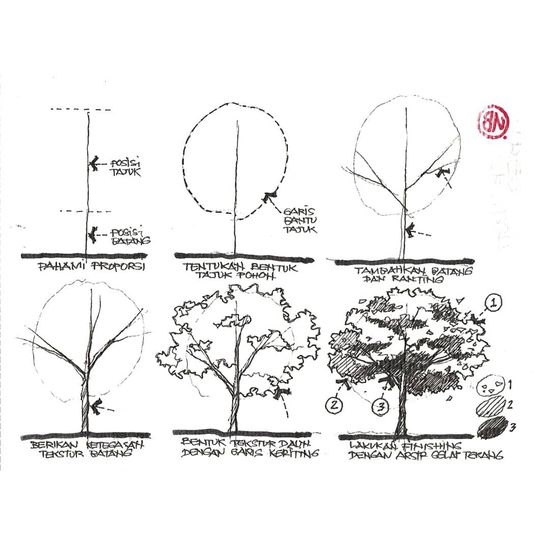 Detail Gambar Sketsa Tanaman Nomer 19