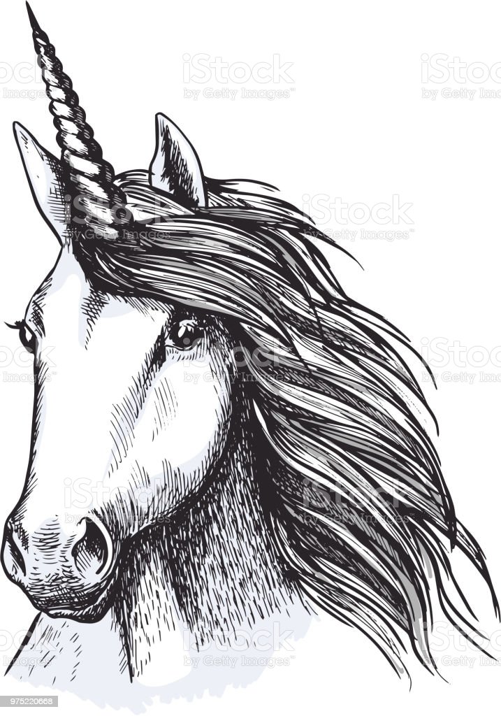 Detail Gambar Sketsa Unicorn Nomer 42