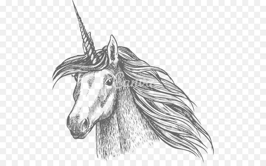 Detail Gambar Sketsa Unicorn Nomer 43