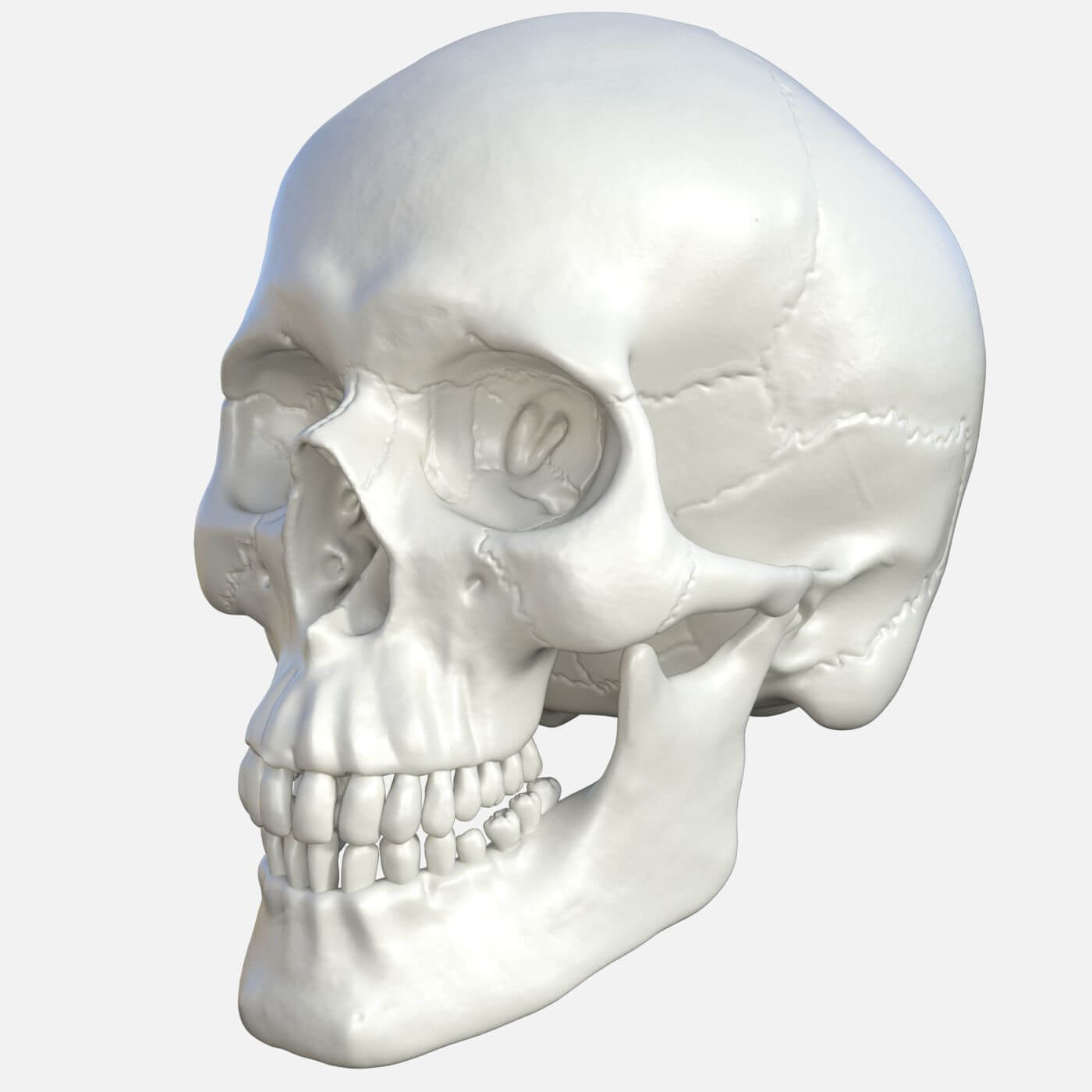 Detail Gambar Skull 3d Nomer 19