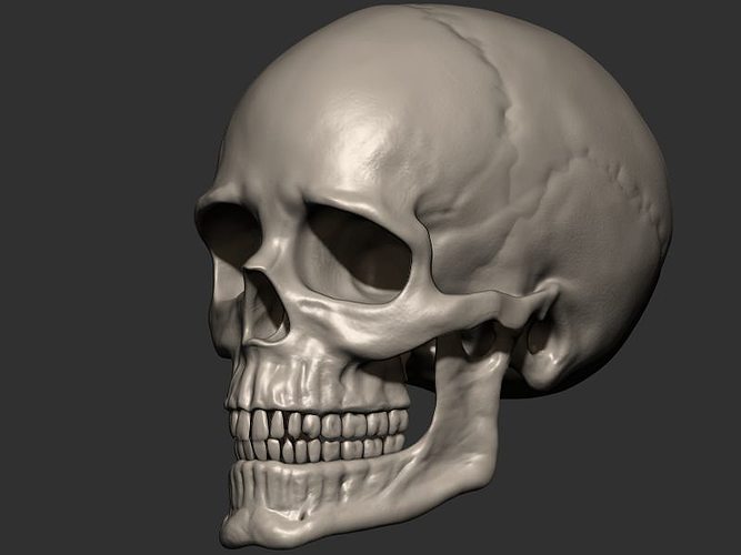 Detail Gambar Skull 3d Nomer 25