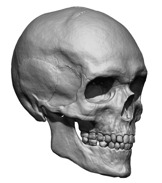 Detail Gambar Skull 3d Nomer 49