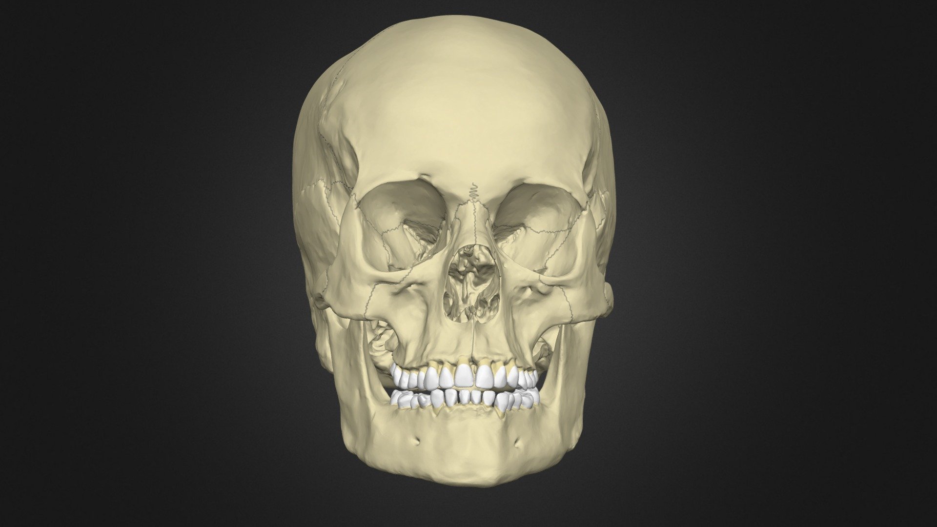 Detail Gambar Skull 3d Nomer 7