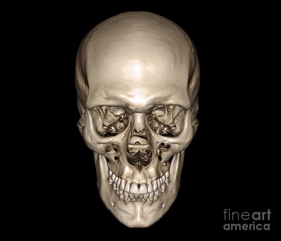 Detail Gambar Skull 3d Keren Nomer 40