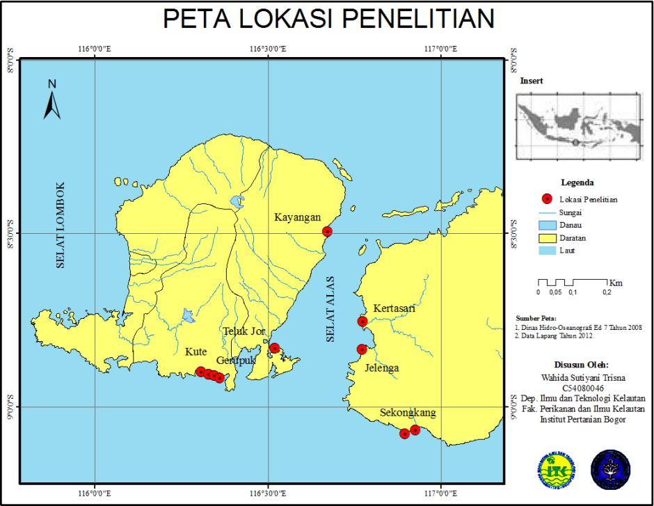 Detail Gambar Sma 1 Sekongkang Peta Desa Sekongkang Bawah Nomer 9