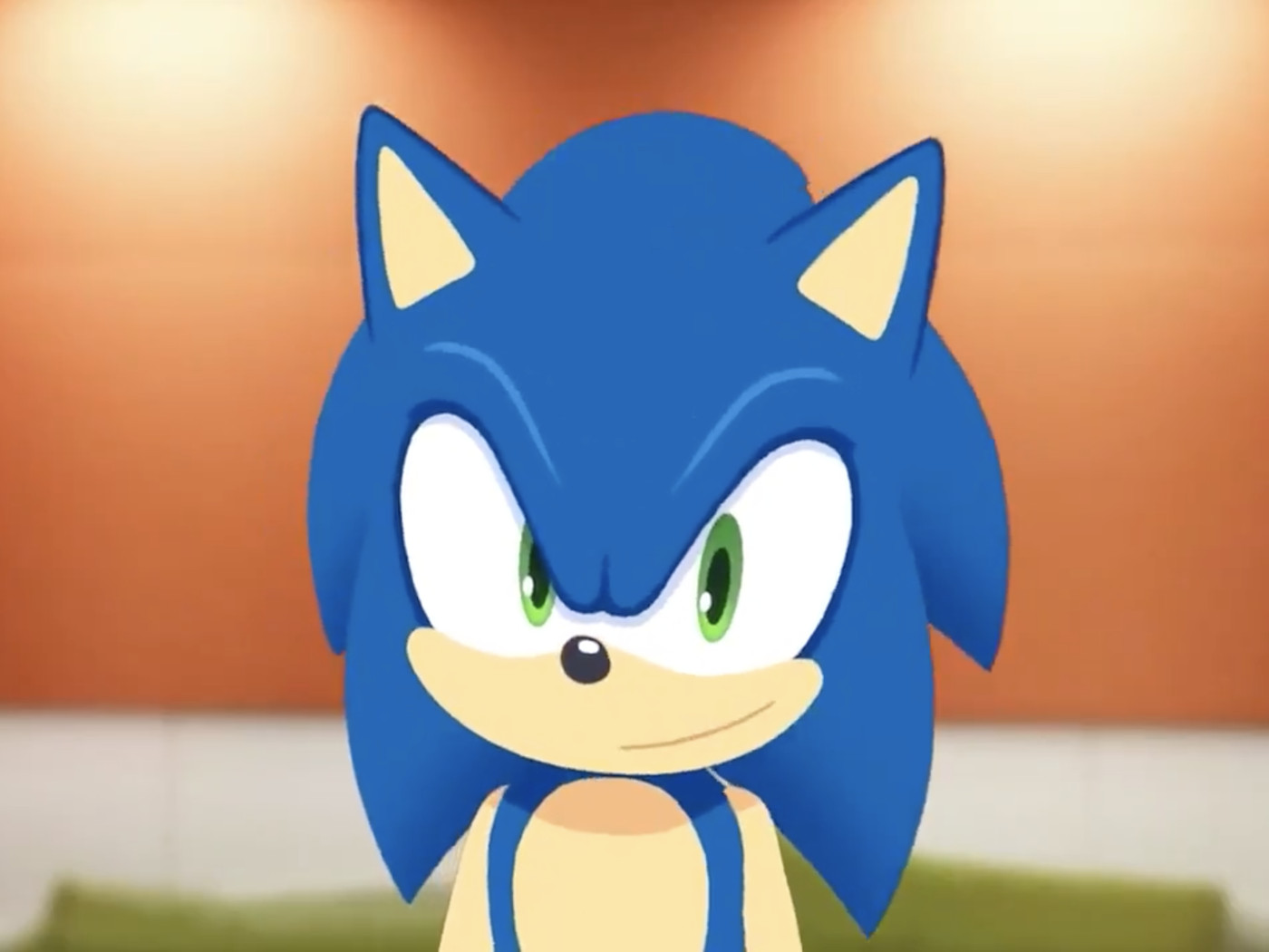 Detail Gambar Sonic Nomer 10