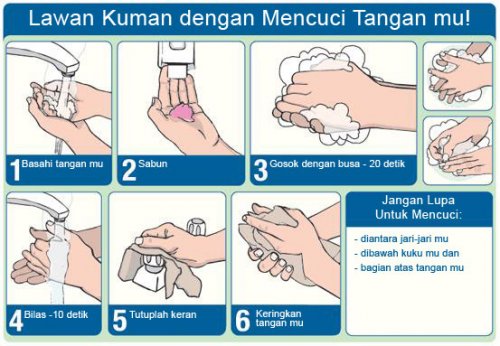 Detail Gambar Sop Cuci Tangan Nomer 2