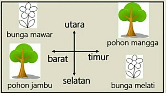 Detail Denah Mata Angin Nomer 20